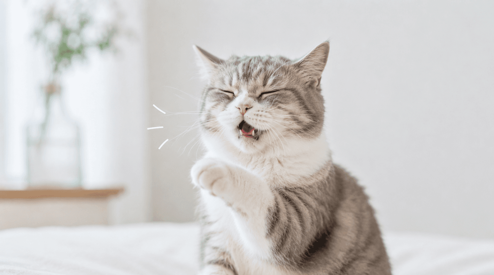 犬や猫も花粉症になる?季節性アレルギーのサインとおうちでのケア方法